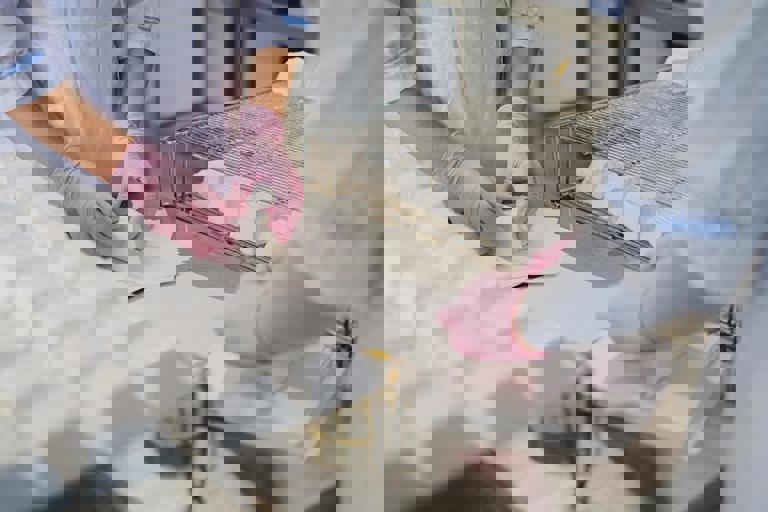 Empresas brasileiras apostam em embalagens biodegradáveis para driblar crise de insumos